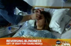 Eye-Opening News: Penn Doctors Cure Blindness